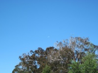 IMG_1563.jpg