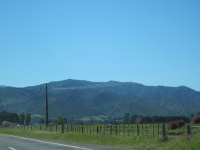 IMG_1569.jpg