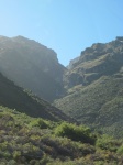IMG_1695.jpg