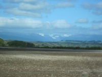 IMG_1697.jpg