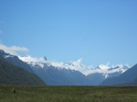 IMG_1708.jpg