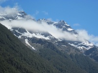 IMG_1709.jpg