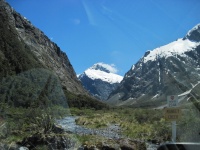 IMG_1726.jpg