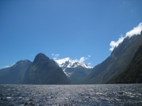 IMG_1768.jpg