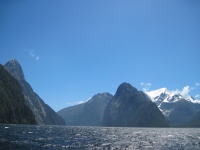 IMG_1769.jpg