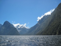 IMG_1770.jpg