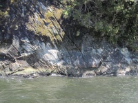 IMG_1780.jpg