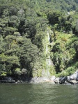 IMG_1782.jpg