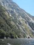 IMG_1787.jpg