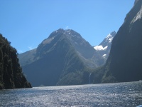 IMG_1795.jpg