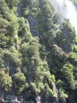IMG_1796.jpg