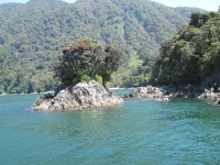 IMG_1831.jpg