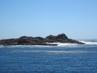 IMG_1840.jpg