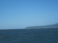 IMG_1842.jpg