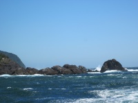 IMG_1843.jpg