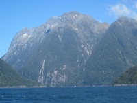 IMG_1847.jpg