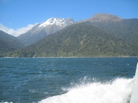IMG_1850.jpg