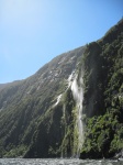 IMG_1868.jpg