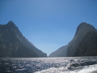 IMG_1890.jpg