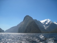 IMG_1893.jpg