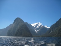 IMG_1894.jpg