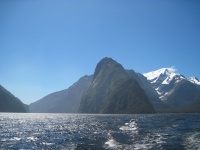IMG_1895.jpg