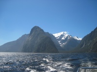 IMG_1897.jpg