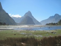 IMG_1905.jpg