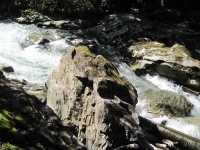 IMG_1924.jpg