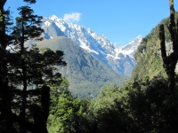 IMG_1926.jpg