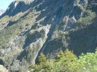 IMG_1934.jpg