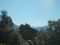 IMG_1950.jpg