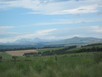 IMG_1664.jpg