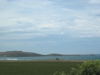 IMG_1666.jpg