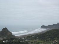 IMG_1406.jpg