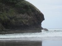 IMG_1423.jpg