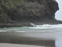 IMG_1426.jpg