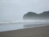 IMG_1427.jpg