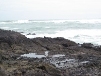 IMG_1436.jpg