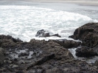 IMG_1437.jpg