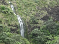 IMG_1466.jpg
