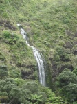 IMG_1467.jpg