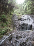 IMG_1471.jpg