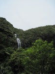 IMG_1474.jpg