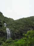 IMG_1475.jpg