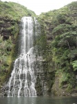 IMG_1481.jpg