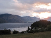IMG_1681.jpg