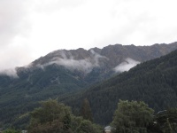 IMG_1685.jpg