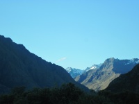 IMG_1959.jpg