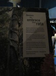 IMG_1586.jpg